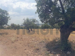 otros en venta , Petres , 880 m2 10