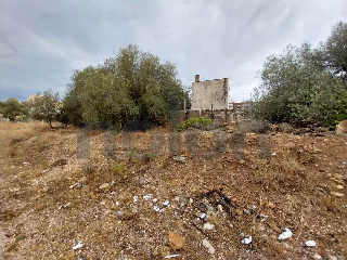 otros en venta , Vinaros , 248 m2 5