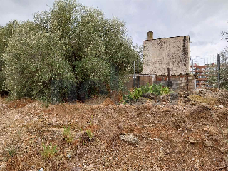 otros en venta , Vinaros , 248 m2 6
