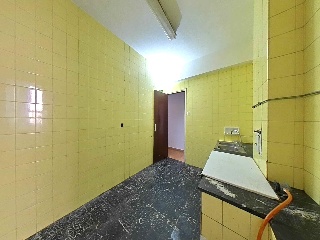 Verde 41