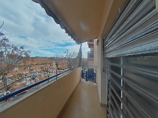 Jose Roque 45