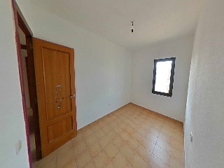 Cardon 19