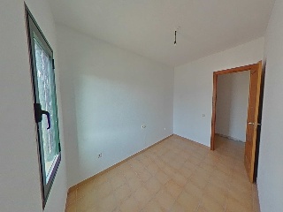 Cardon 20