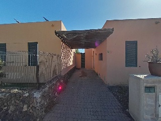 Cardon 31