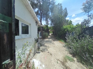 Carrizal 5