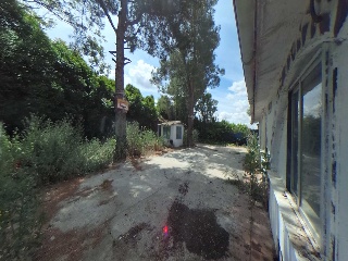 Carrizal 6