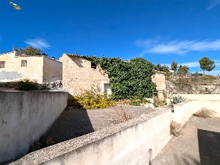 Jardines 10