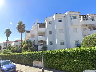 Hinojo 2