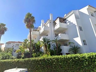 Hinojo 3