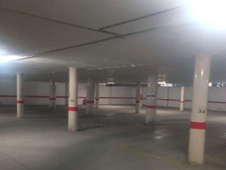 Ayora 2