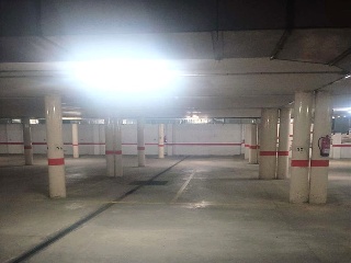 Ayora 5