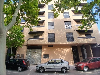 Ayora 11