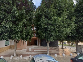 Nogal 2