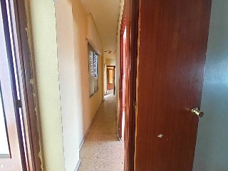  29