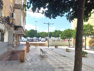 Rosa 5