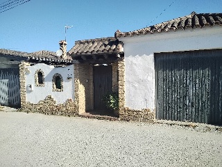 Caniche Del 3