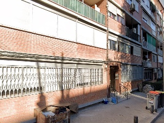 Camarena 3