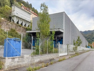 Cuadriella,La 6