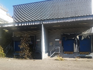 Cuadriella,La 9