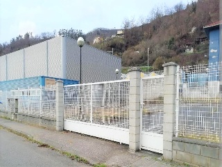 Cuadriella,La 14