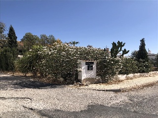 V Martin Palomos 3