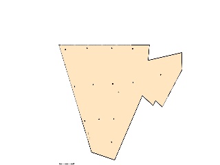 Osca 29