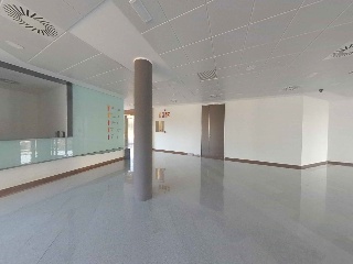 Osca 23