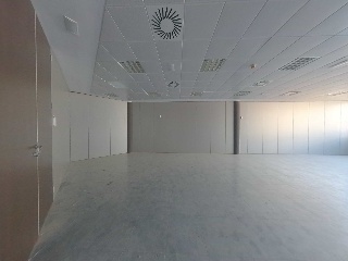 Osca 12