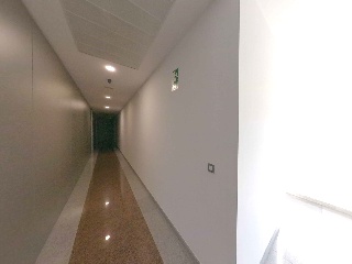 Osca 23