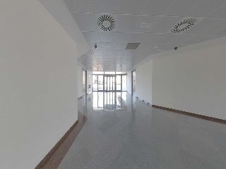 Osca 5