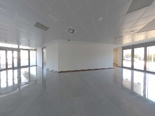 Osca 6