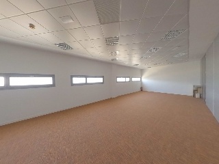 Osca 17