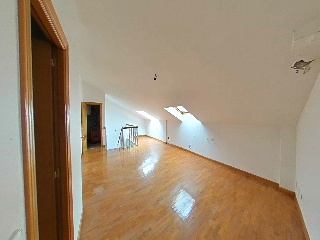 Margubete 14