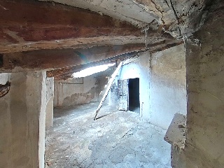 Fragua 35