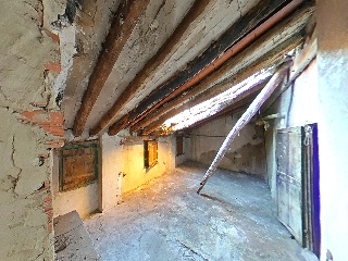 Fragua 37