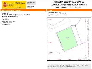 Nueva Condomina 14 14
