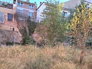 Puig 5