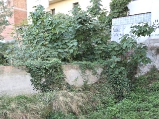 Puig 6