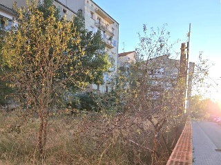 Puig 8