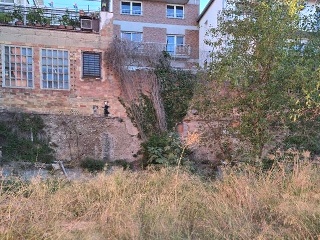 Puig 11