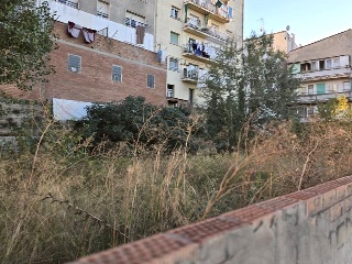 Puig 13