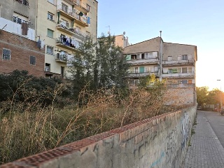 Puig 14