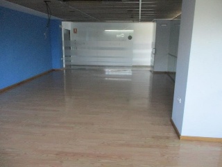Constitucion 7