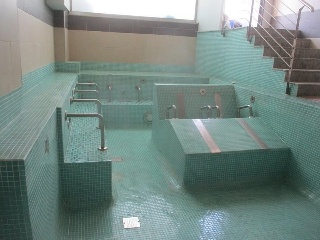 Constitucion 12