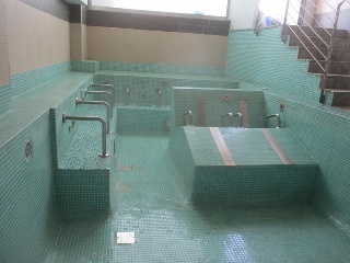 Constitucion 17