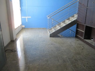 Constitucion 19