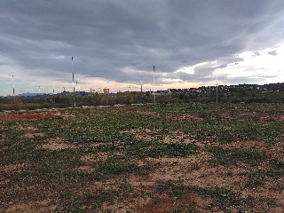 Número Once 2