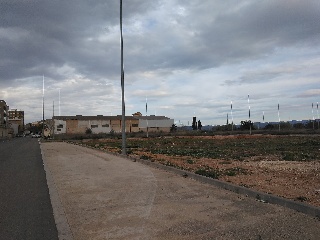 Número Once 4