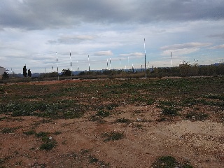 Número Once 6