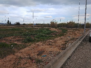 Número Once 7